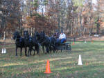 Macy, Lacy, Tobin and Opal (Team of Partbred Dales Ponies) at Dunn's.